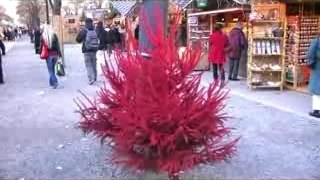 Le Marché de Noël de Bordeaux par Citevents.tv