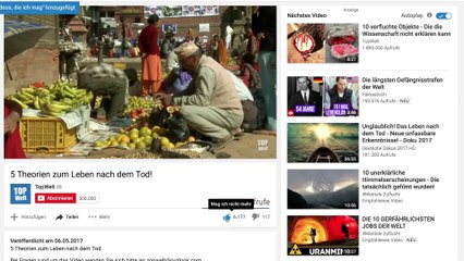 10 Hybrid Tiere Die es wirklich gibt!