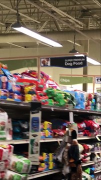 Squirrel Sneaks into Supermarket