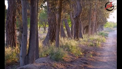 مسلسل رجال العز ـ الحلقة 20 العشرون كاملة HD  Rijal Al Ezz