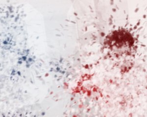 Belgium fans joyous after claiming Brazil scalp