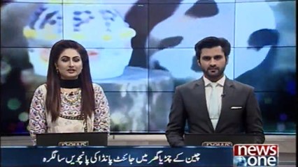 China's zoo fifth birthday of giant panda