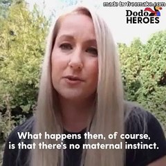 Tiniest Pit Bull Puppy Steals Her Foster Mom's Heart   Dodo Heroes