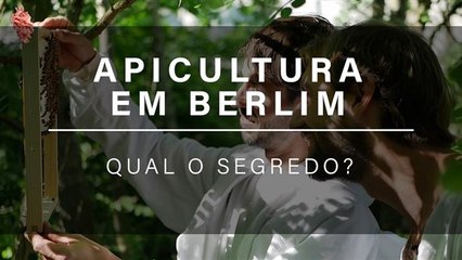 Apicultura urbana em Berlim