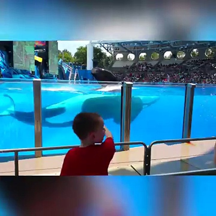 Kids are Awsome