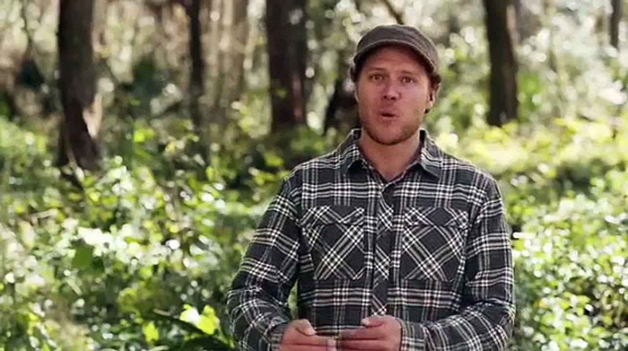 Tiny House Nation S04 E10