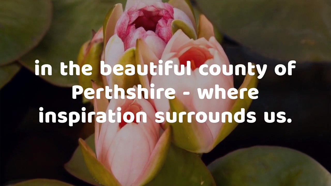 Information Video about Stunning flowers