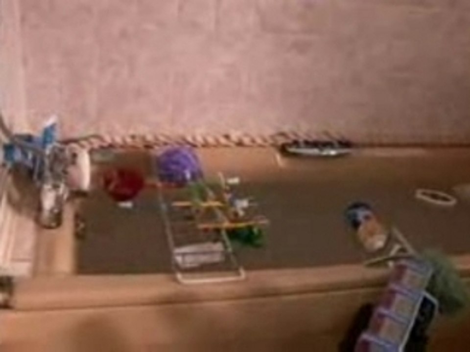Domino amateur