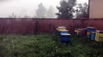 Erëra dhe shi i fortë në Podujevë, shikoni pamjet!