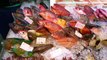 Japanese Street Food - SHOOTING MOUTH FISH Slingjaw Wrasse Japan Seafood
