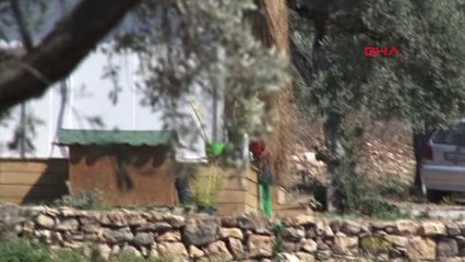 İzmir Ünlü Rock Yıldızı Özlem Tekin Köye Yerleşti