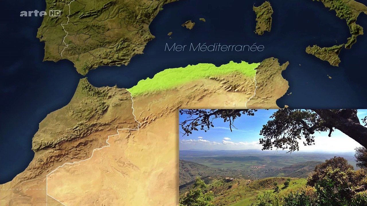' Algerien: In der Sackgasse?' - Mit offenen Karten | der Wolpertinger.