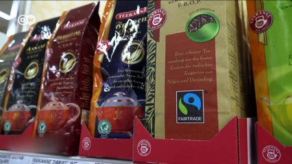 The dark side of the tea trade - Documentary