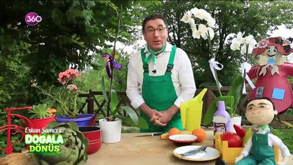 Doğala Dönüş / Orkide Bakımı