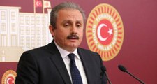 Meclis Başkanvekili Olan Mustafa Şentop Kimdir?
