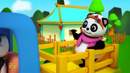 Baa Baa Black Sheep | Baby Bao Panda Cartoons And Rhymes