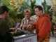 3rd Rock from The Sun S06E10