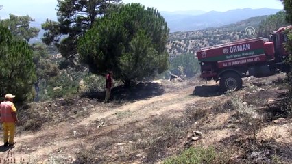 Orman yangını - AYDIN