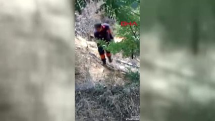 Elazığ Elazığ'da Sıcaktan Bitkinleşip, Dereye Düşen Köpek Kurtarıldı