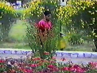 Latin Brothers- Quien te ve