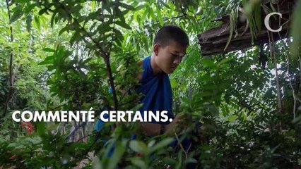 PHOTOS. Topless, Ilona Smet fait sensation sur Instagram