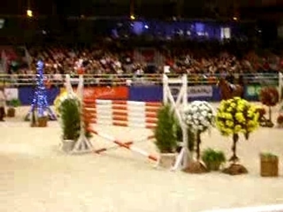 Puissance Du Concours International du Salon Du Cheval 2007