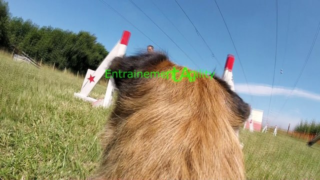 Entrainement Agility