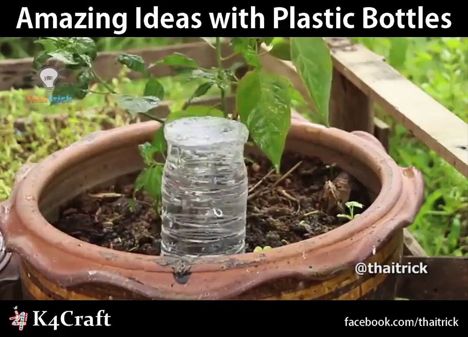 Amazing Ideas with Plastic Bottles via: Thaitrick, youtube.com/thaitrick -  Dailymotion Video