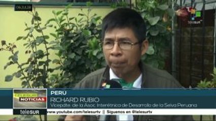 Perú: deforestadas casi 2 millones de hectáreas de selva amazónica