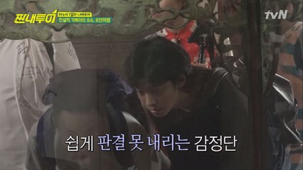 전설 속 초대형 거북이 여기에? 진짜 맞아?