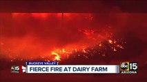 Top stories: Search for hit-and-run driver, fire at dairy farm, heat continues
