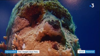 Culture : des visages sous l'eau à Cannes