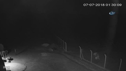 100 Bin TL Değerinde Kabloları Çalıp Kayıplara Karıştılar