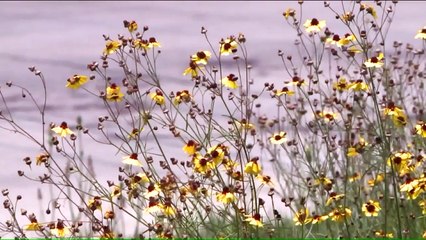 Teen Dies from Stab Wound Following Fight in Memphis Intersection