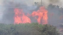 美 서부 폭염에 산불...1명 사망·수천 명 대피 / YTN