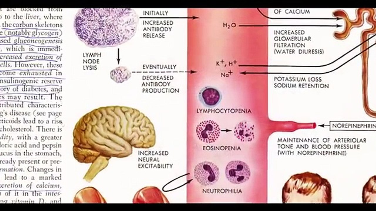 The REAL Reason Apple Cider Vinegar Works for Losing Weight - MUST WATCH!