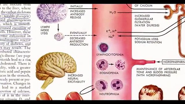 The REAL Reason Apple Cider Vinegar Works for Losing Weight - MUST WATCH!