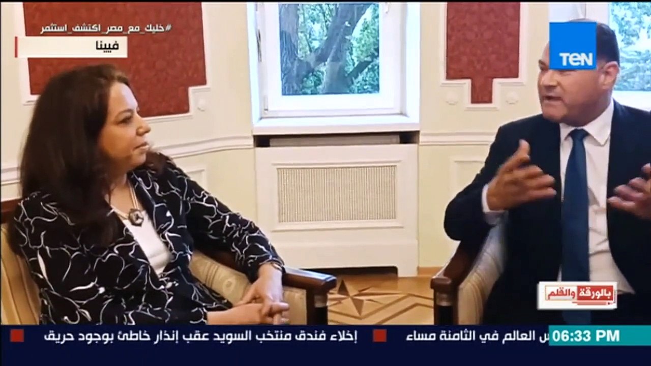 نائب سفير مصر بالنمسا: زيارة وزير الخارجية تساعد على جذب الاستثمارات النمساوية