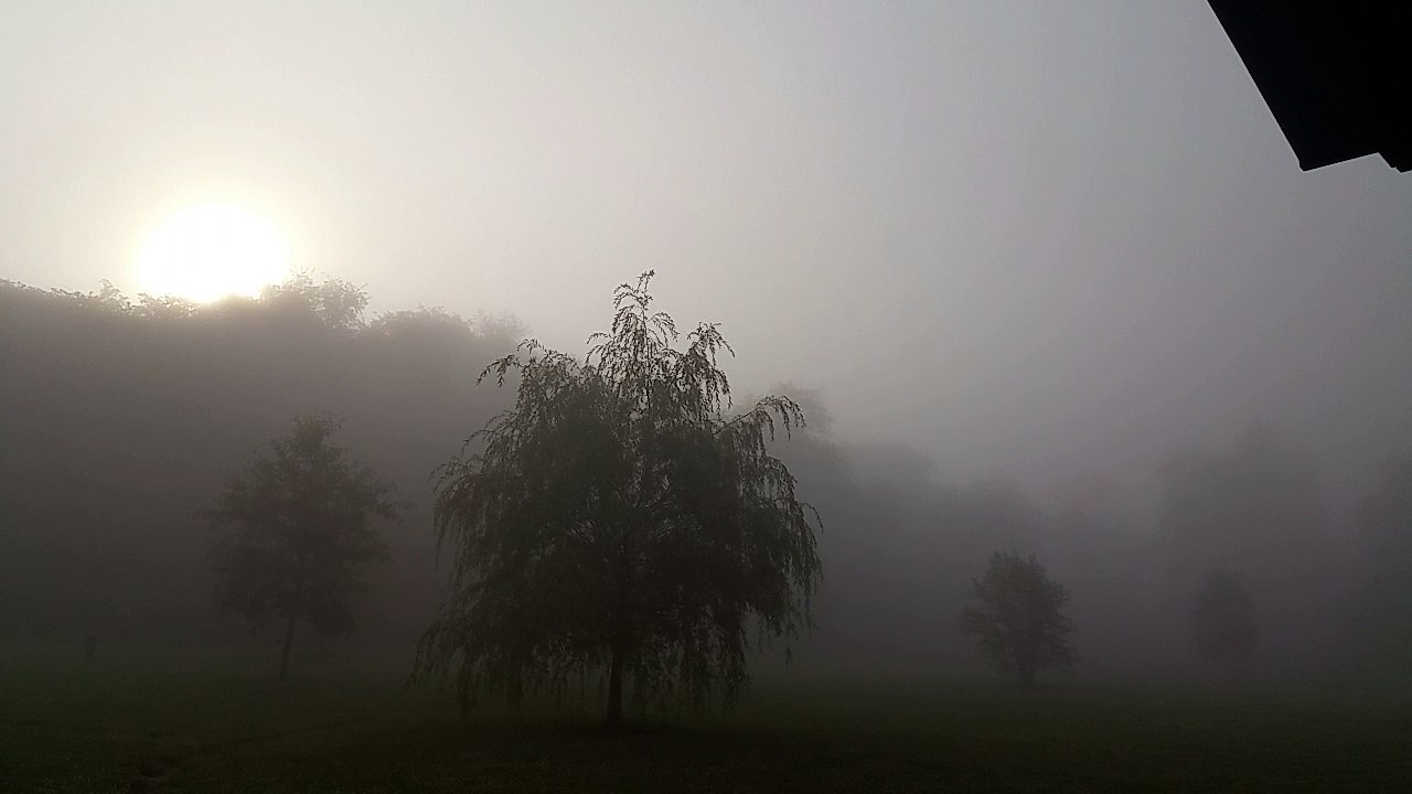 Good Morning, Sunshine