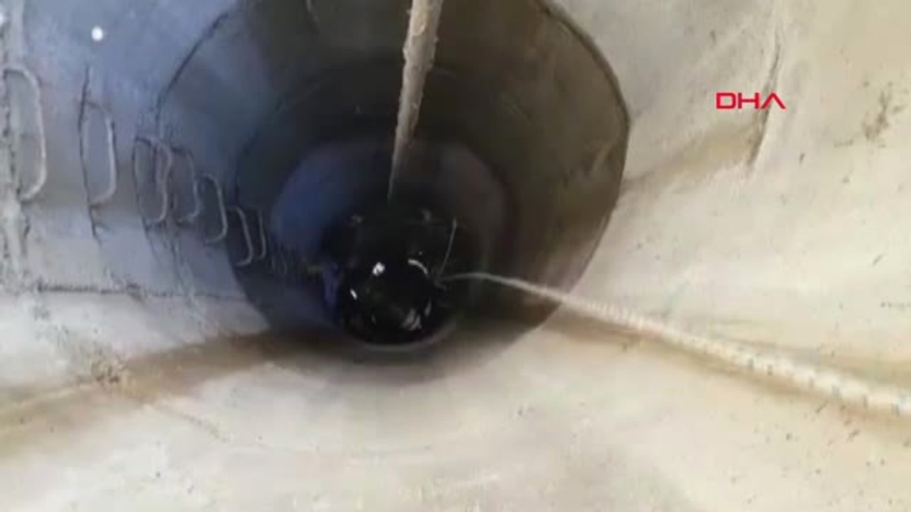 Amasya 8 Metrelik Su Kuyusuna Düşen Yavru Kediyi İtfaiye Erleri Kurtardı