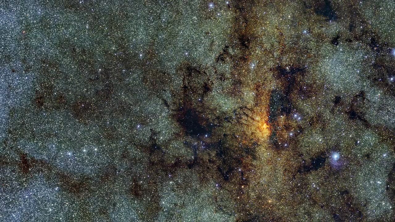 Variable RR Lyrae stars