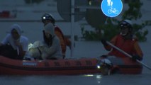일본 서남부에 집중호우 강타...51명 사망·46명 실종 / YTN
