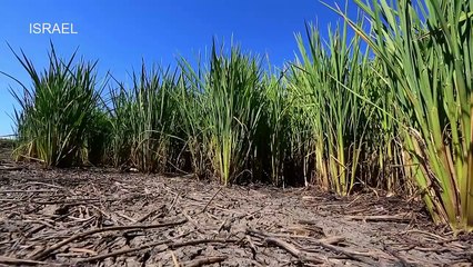 World Modern Agriculture Technology - Australian Agriculture