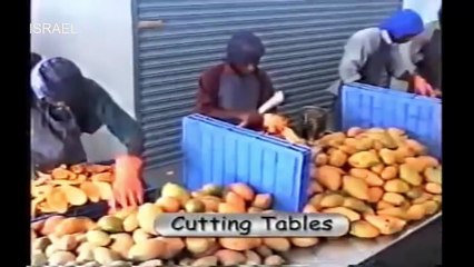 Agriculture Technology: MANGO PROCESSING - Passion fruit extraction
