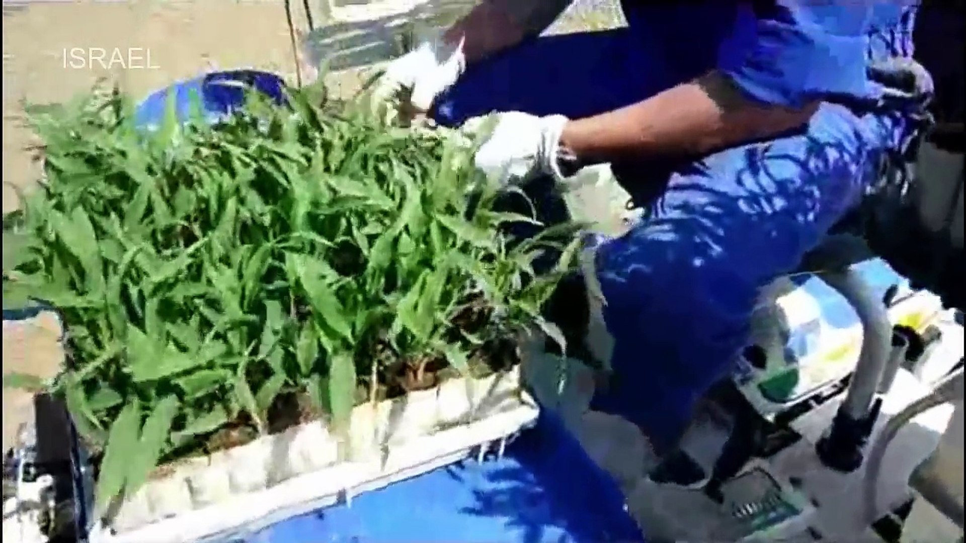 ⁣Japan Agriculture Technology - Agriculture Technology Machines