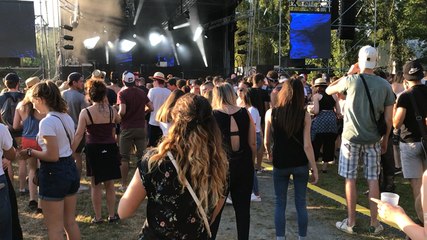 Tilliacum, un festival et une tannière pour les fans d’électro, panda dub, romulus
