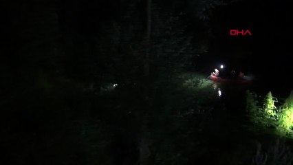 Bartın - Irmağa Giren 'Yunus'u Denize Ulaştırmak İçin Çalışmalar Sürüyor