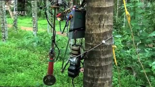 World Modern Agriculture Technology Automatic Coconut tree climbing machine