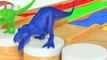 Learn Color with Animals Name Animal Sound for Children   Dinosaurs T REX Race Water Slides 3D