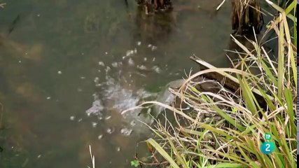 Cómo el clima determinó la historia 02 Documental